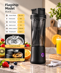SAMDIYA BDL-010 USB portable juicer black - juicing